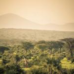PHOTOGRAPHIE : ‘A Taste of Tanzania’ by Untold PHOTOGRAPHIE : ‘A Taste of Tanzania’ by Untold