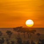 PHOTOGRAPHIE : ‘A Taste of Tanzania’ by Untold PHOTOGRAPHIE : ‘A Taste of Tanzania’ by Untold