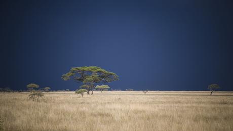 PHOTOGRAPHIE : ‘A Taste of Tanzania’ by Untold UNTOLD_04