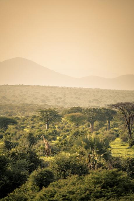 PHOTOGRAPHIE : ‘A Taste of Tanzania’ by Untold UNTOLD_08