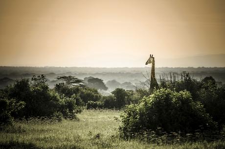 PHOTOGRAPHIE : ‘A Taste of Tanzania’ by Untold UNTOLD_09