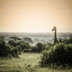 PHOTOGRAPHIE : ‘A Taste of Tanzania’ by Untold PHOTOGRAPHIE : ‘A Taste of Tanzania’ by Untold