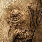 PHOTOGRAPHIE : ‘A Taste of Tanzania’ by Untold PHOTOGRAPHIE : ‘A Taste of Tanzania’ by Untold