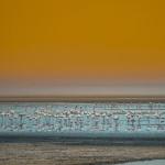 PHOTOGRAPHIE : ‘A Taste of Tanzania’ by Untold PHOTOGRAPHIE : ‘A Taste of Tanzania’ by Untold