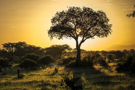 PHOTOGRAPHIE : ‘A Taste of Tanzania’ by Untold UNTOLD_10