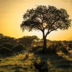PHOTOGRAPHIE : ‘A Taste of Tanzania’ by Untold PHOTOGRAPHIE : ‘A Taste of Tanzania’ by Untold