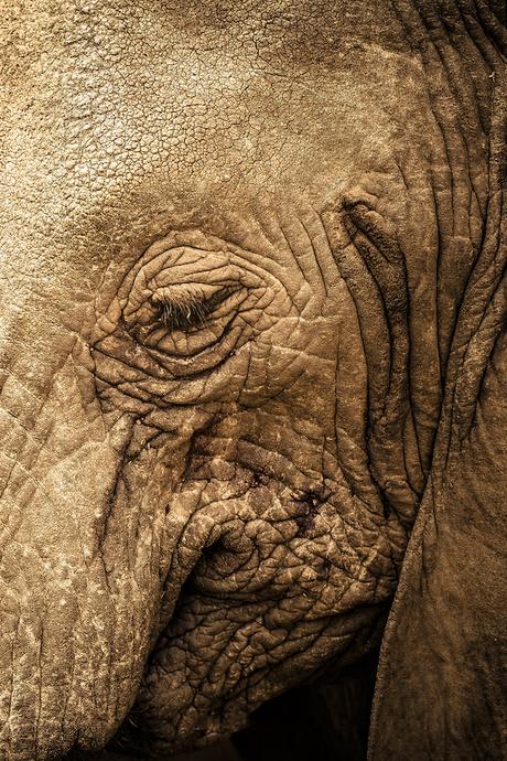 PHOTOGRAPHIE : ‘A Taste of Tanzania’ by Untold UNTOLD_06