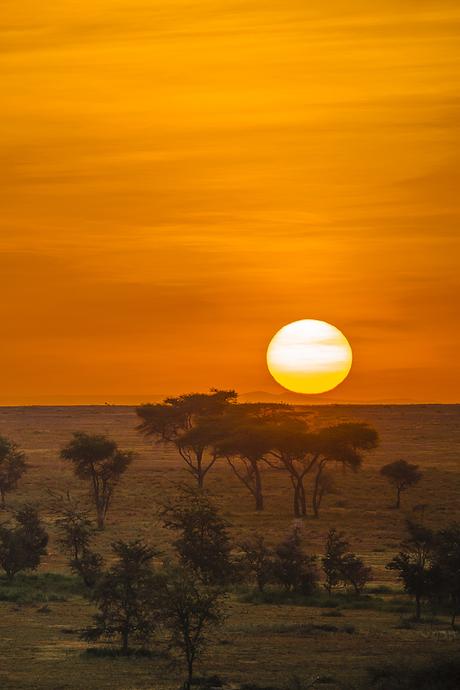 PHOTOGRAPHIE : ‘A Taste of Tanzania’ by Untold UNTOLD_12