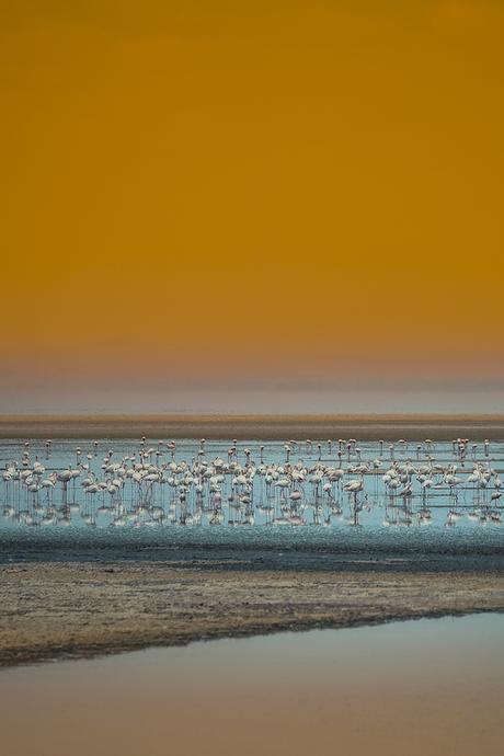 PHOTOGRAPHIE : ‘A Taste of Tanzania’ by Untold UNTOLD_05