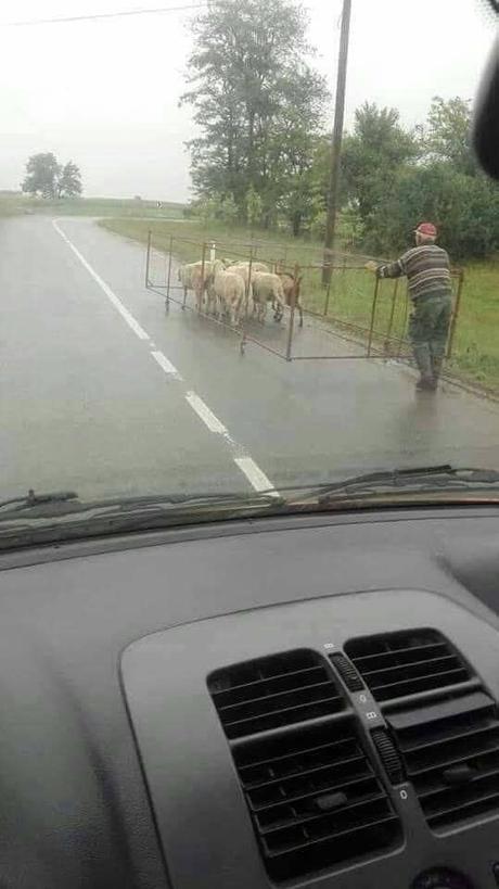 Divers - Crois-tu avoir tout vu - 1