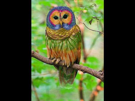 Divers - De belles couleurs - 2