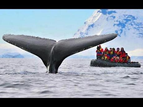 Divers - De belles couleurs - 2