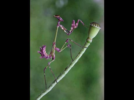 Divers - De belles couleurs - 2