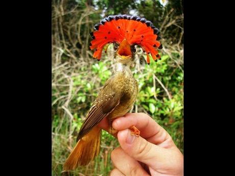 Divers - De belles couleurs - 2