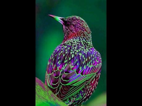 Divers - De belles couleurs - 2