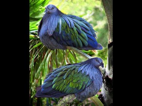 Divers - De belles couleurs - 2