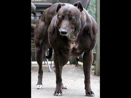 Divers - De belles couleurs - 2