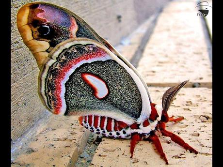 Divers - De belles couleurs - 2