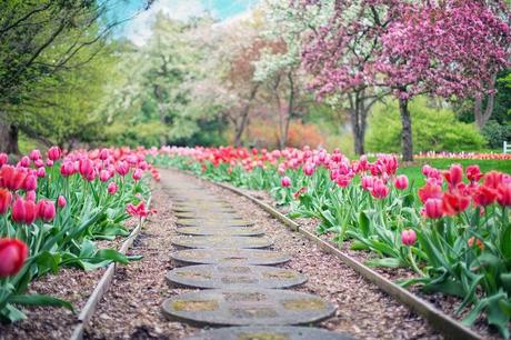 Trucs et astuces pour avoir un beau jardin Trucs et astuces pour avoir un beau jardin