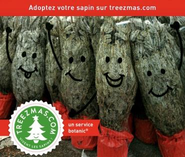 Treezmas propose la livraison de sapins de Noël...