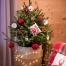 Treezmas propose la livraison de sapins de Noël en pot qui seront récupérés après les Fêtes pour être replantés.