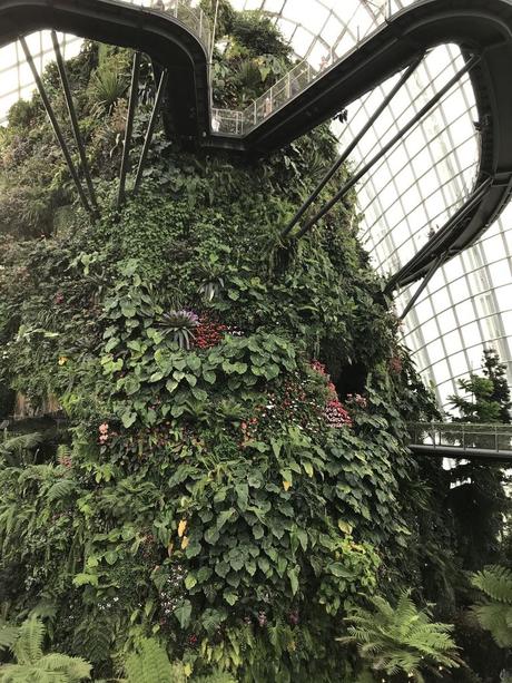 Pays Etranger - Singapour - Quelques jolis coins fleuris