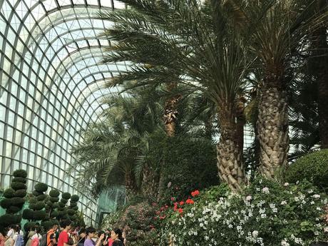 Pays Etranger - Singapour - Quelques jolis coins fleuris