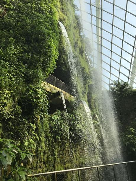 Pays Etranger - Singapour - Quelques jolis coins fleuris