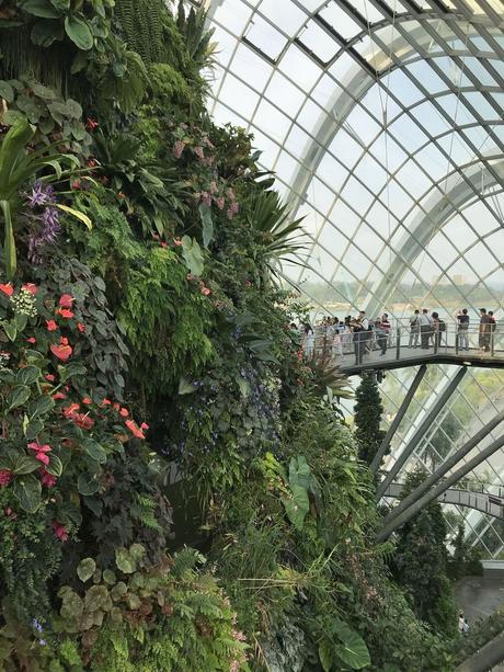 Pays Etranger - Singapour - Quelques jolis coins fleuris