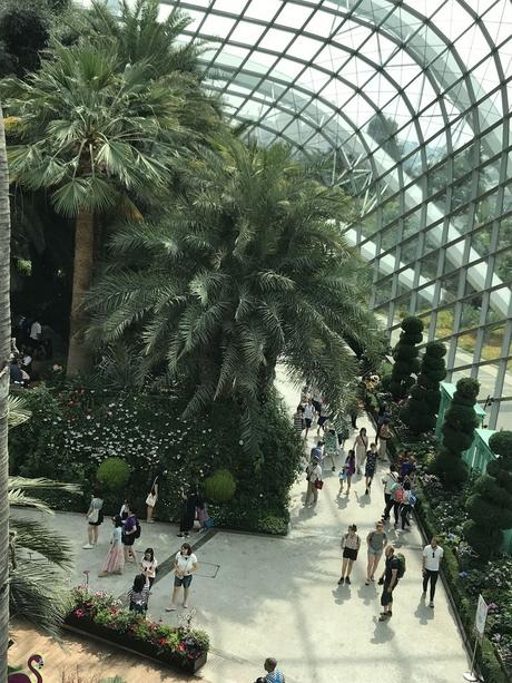 Pays Etranger - Singapour - Quelques jolis coins fleuris