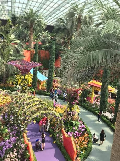 Pays Etranger - Singapour - Quelques jolis coins fleuris