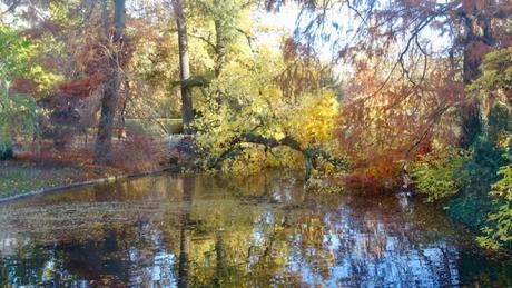 Il a tellement plu que l'arbre a chu