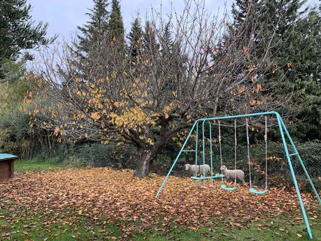 Mon impudique cerisier se déshabille Mon impudique cerisier se déshabille