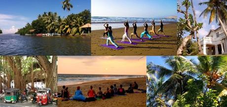 Séjours culturels et de ressourcement au Sri Lanka avec Dominique Jeanneret Séjours culturels et de ressourcement au Sri Lanka avec Dominique Jeanneret