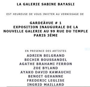 Galerie Sabine BAYASLI  exposition GARDE A VUE 1