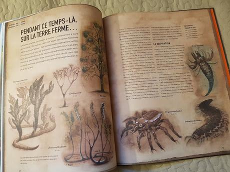 Il était une fois la Terre - Tout commence il y a 4,6 milliards d'années...