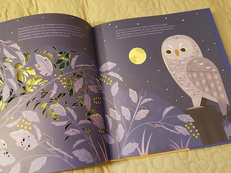 Secrets de petites bêtes de Emmanuelle Figueras et Alexander Vidal