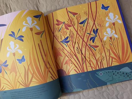 Secrets de petites bêtes de Emmanuelle Figueras et Alexander Vidal