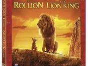 Lion vidéo depuis novembre 2019