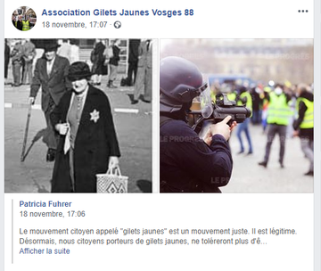 Les #giletsjaunes pourrissent par la tête. L'exemple des Vosges #antisémitisme #UPR #RN #confusionnisme