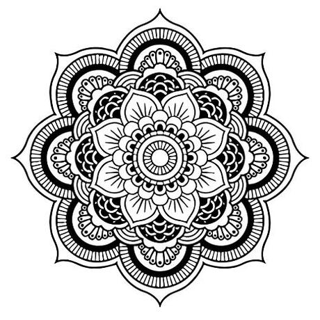 Guide De La Fleur De Lotus Signification Et Symbolique