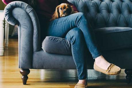 Comment empêcher son chien de monter sur le canapé ?