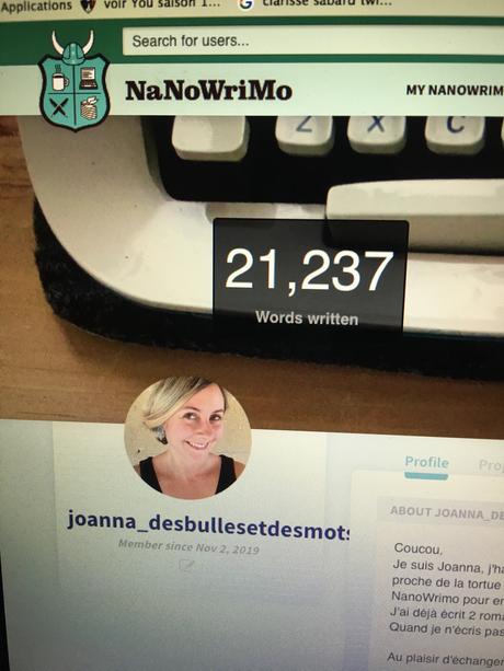 NanoWrimo Bilan !