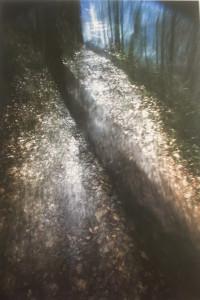 Galerie LA CAPITALE   exposition Emmanuel ROMEO « photographies »