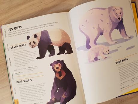 L'encyclopédie illustrée des animaux de Jules Howard et Jarom Vogel ♥ ♥ ♥