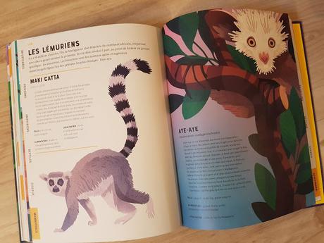 L'encyclopédie illustrée des animaux de Jules Howard et Jarom Vogel ♥ ♥ ♥