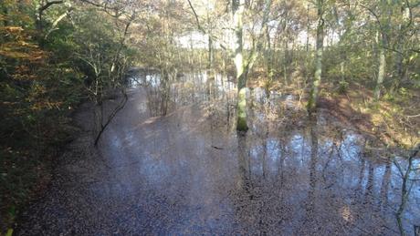 L'eau monte L'eau monte