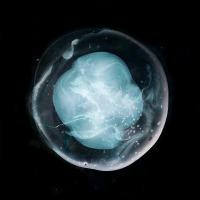 A Winged Victory For The Sullen ‘ The Undivided Five