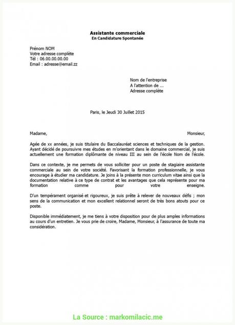 Exemple De Lettre De Demission Lycée Professionnel  hadiselamet