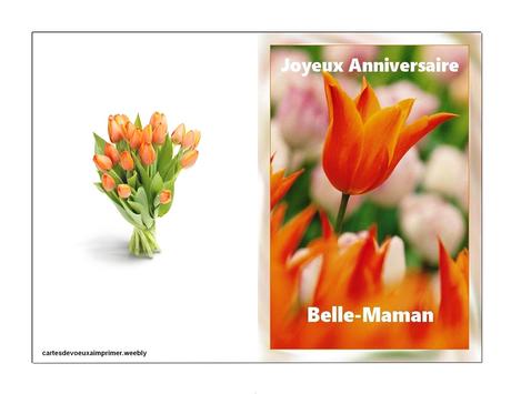 Carte anniversaire belle mere | Reservation domitys